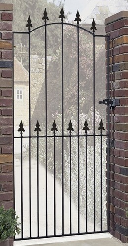 Salva spear top - top, garden